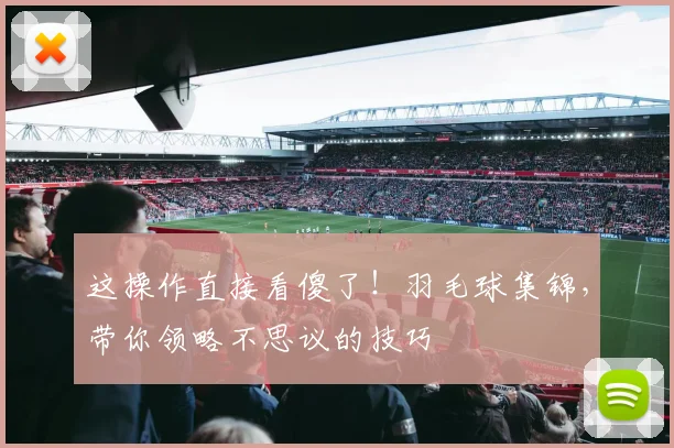 这操作直接看傻了！羽毛球集锦，带你领略不思议的技巧