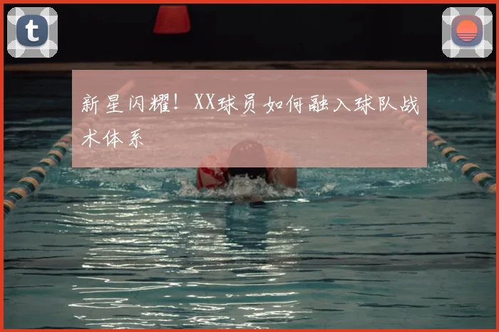 新星闪耀！XX球员如何融入球队战术体系