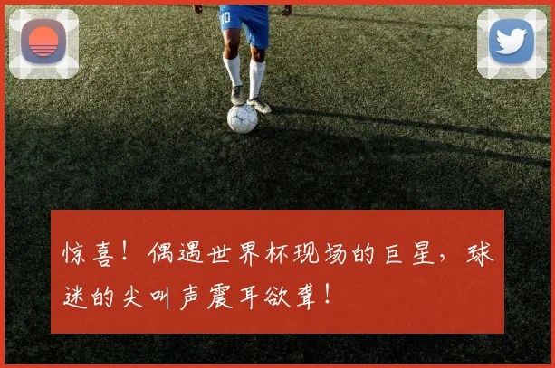 惊喜！偶遇世界杯现场的巨星，球迷的尖叫声震耳欲聋！