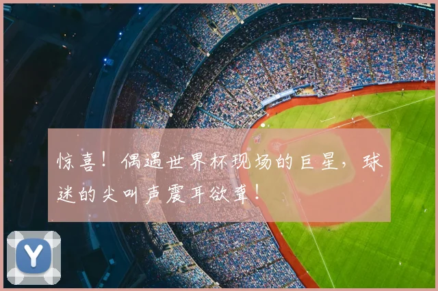 惊喜!偶遇世界杯现场的巨星,球迷的尖叫声震耳欲聋!