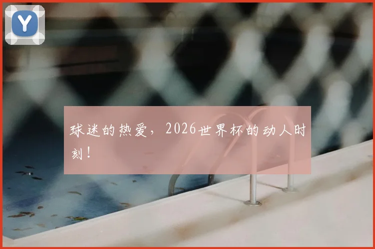 球迷的热爱，2026世界杯的动人时刻！